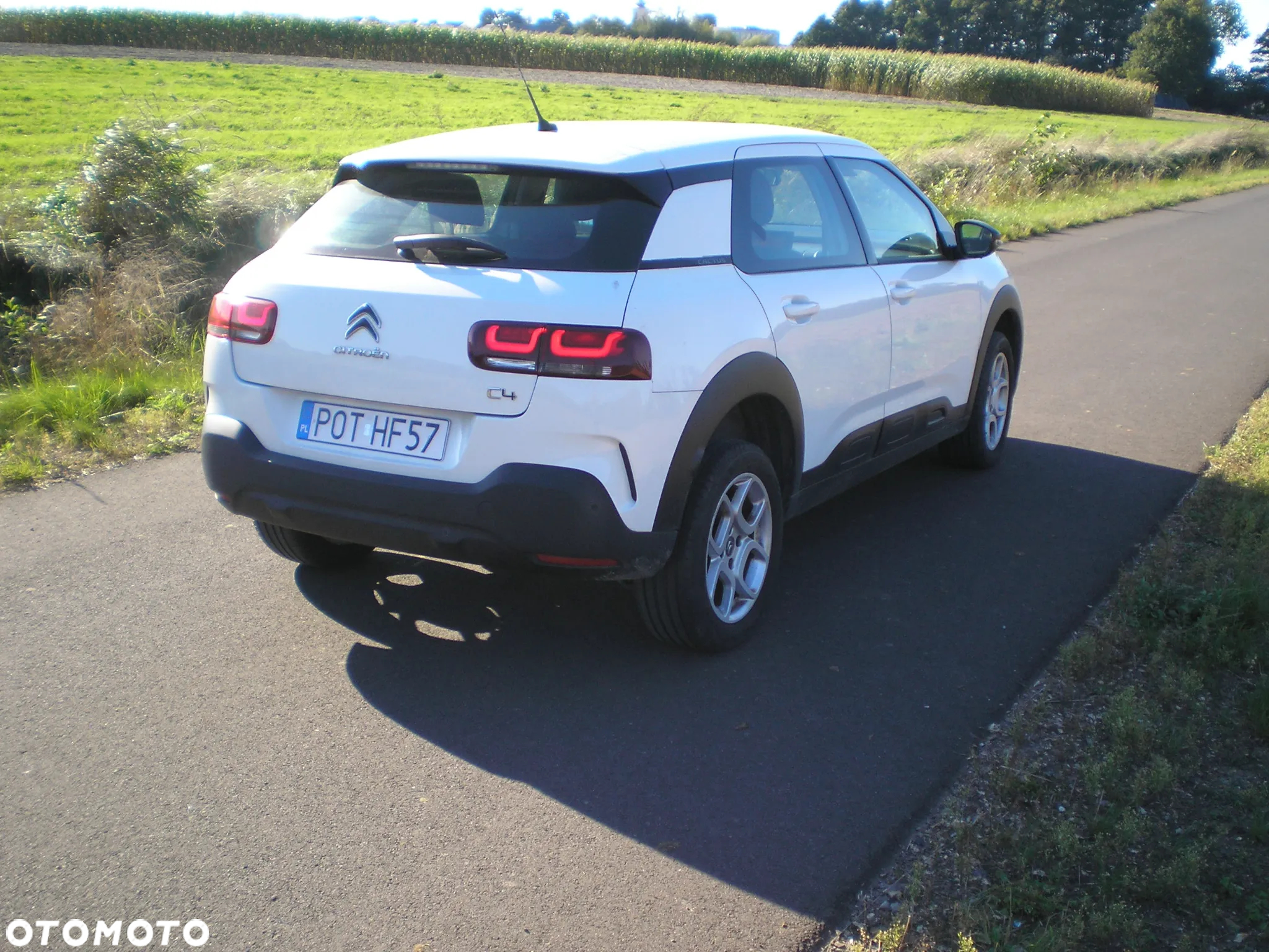Citroën C4 Cactus 1.5 BlueHDi Feel - 2
