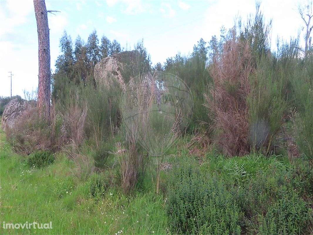 Quinta  para venda - Grande imagem: 3/50