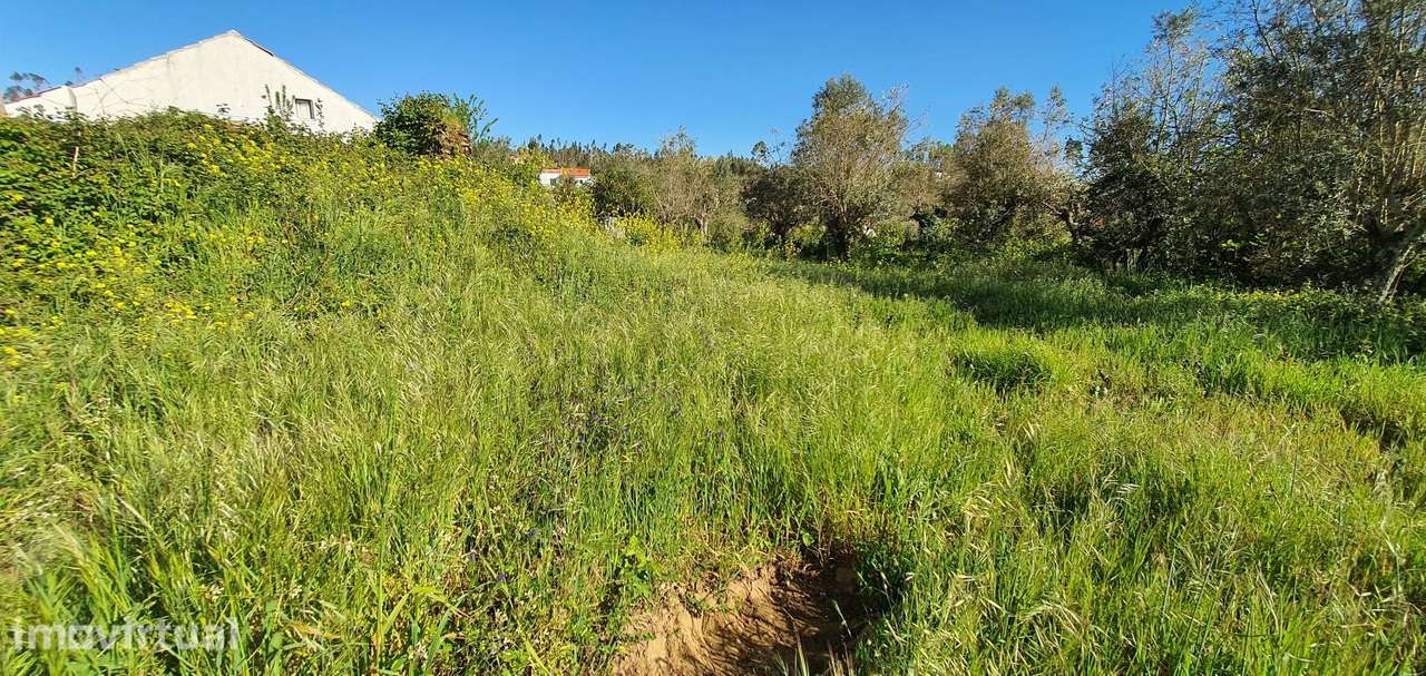 Terreno com urbano em ruína para Moradia em Igreja Nova do Sobral - Grande imagem: 4/13