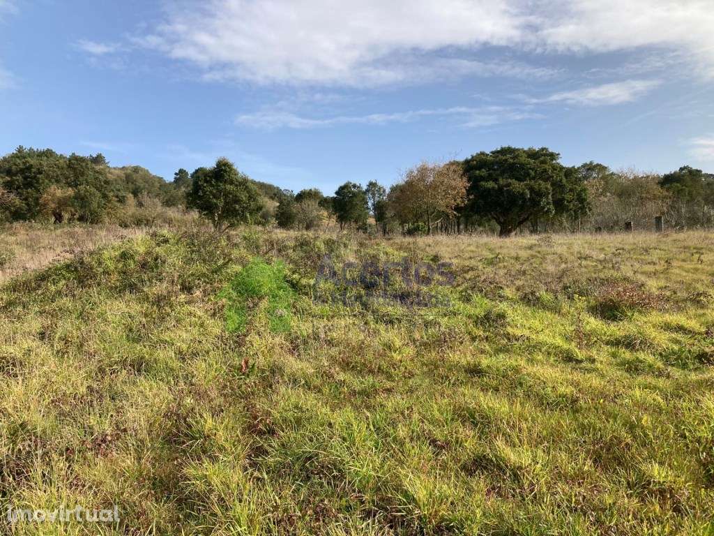 TERRENO DELGADA - BOMBARRAL - Grande imagem: 3/9