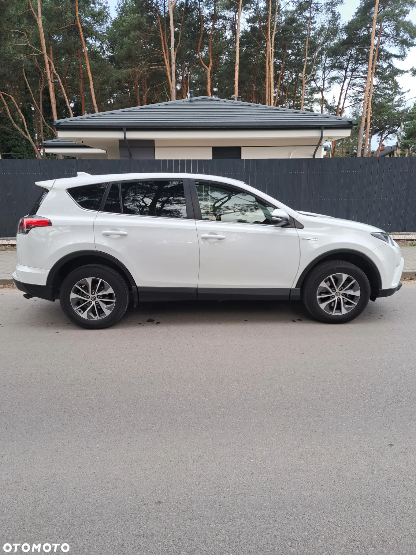 Toyota RAV4 Hybrid Premium 4x2 - 6