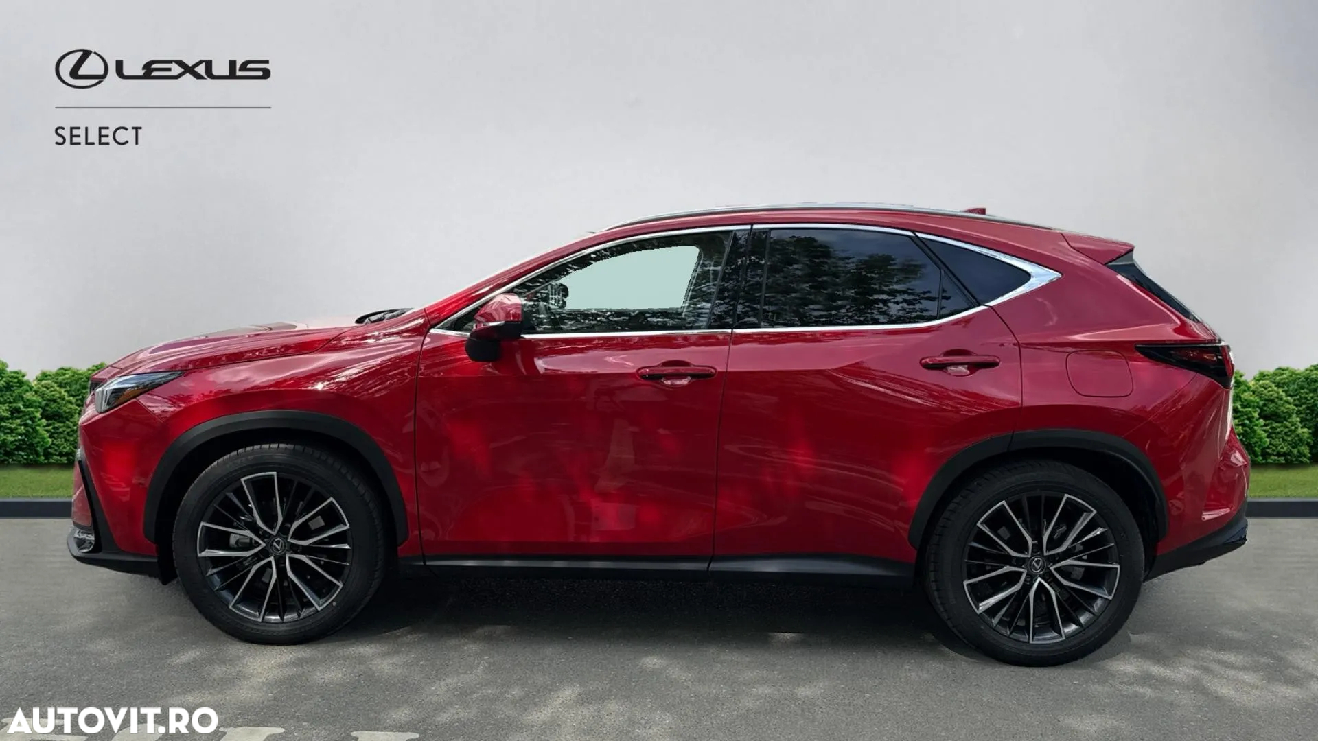 Lexus Seria NX 350h AWD CVT HEV Luxury - 2