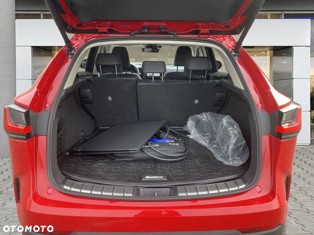 Lexus NX - 16