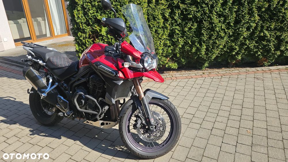 Triumph Tiger - 1