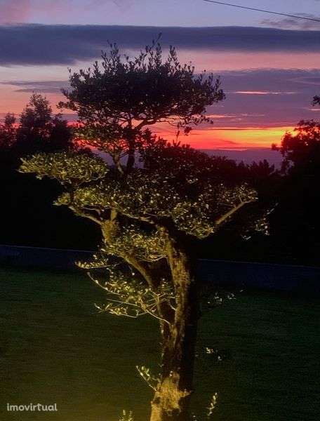 Moradia Terrea T3 para venda - Grande imagem: 3/12