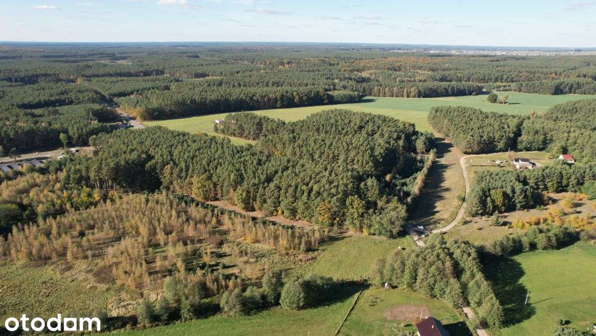 Działki budowlane, Glinno - Pełny obrazek: 2/4