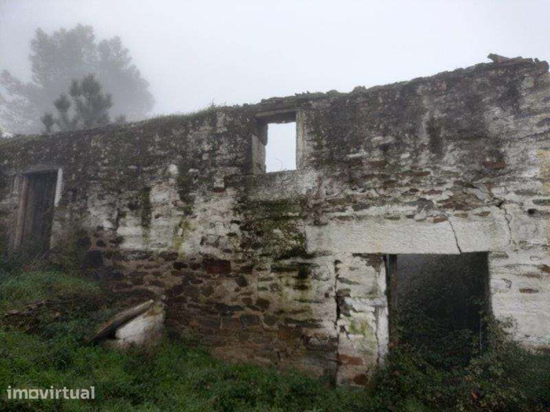 Terreno | Vila Real | 57 Hectares - Grande imagem: 3/7