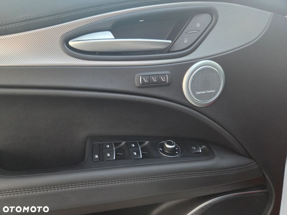 Alfa Romeo Stelvio 2.0 Turbo Veloce Q4 - 8