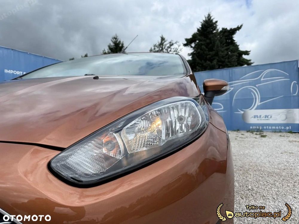 Ford Fiesta - 10