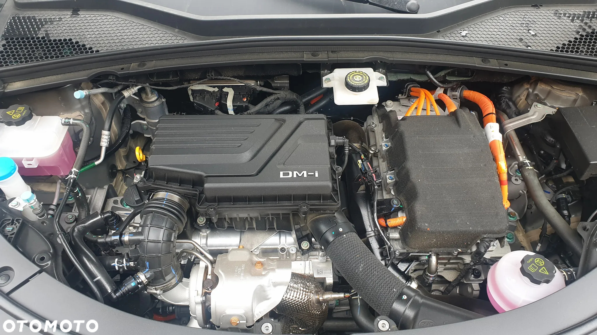 BYD Seal U 1.5T DM-i Design AWD - 22
