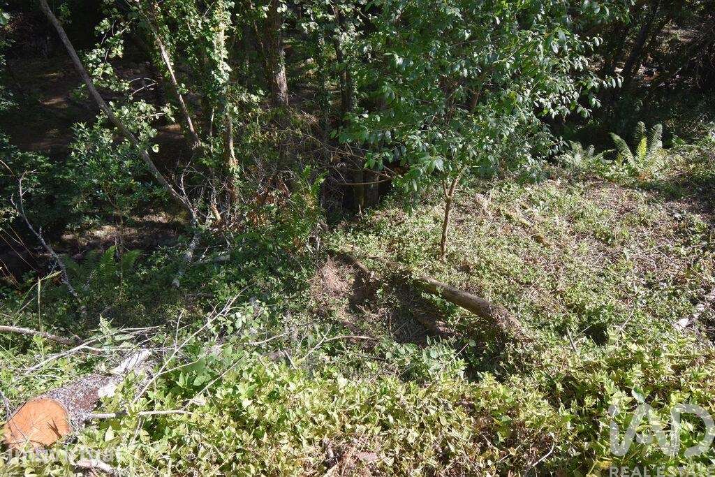 Terreno Agrícola em Espinhal - Grande imagem: 5/29