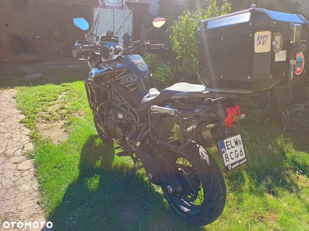 Triumph Tiger - 4