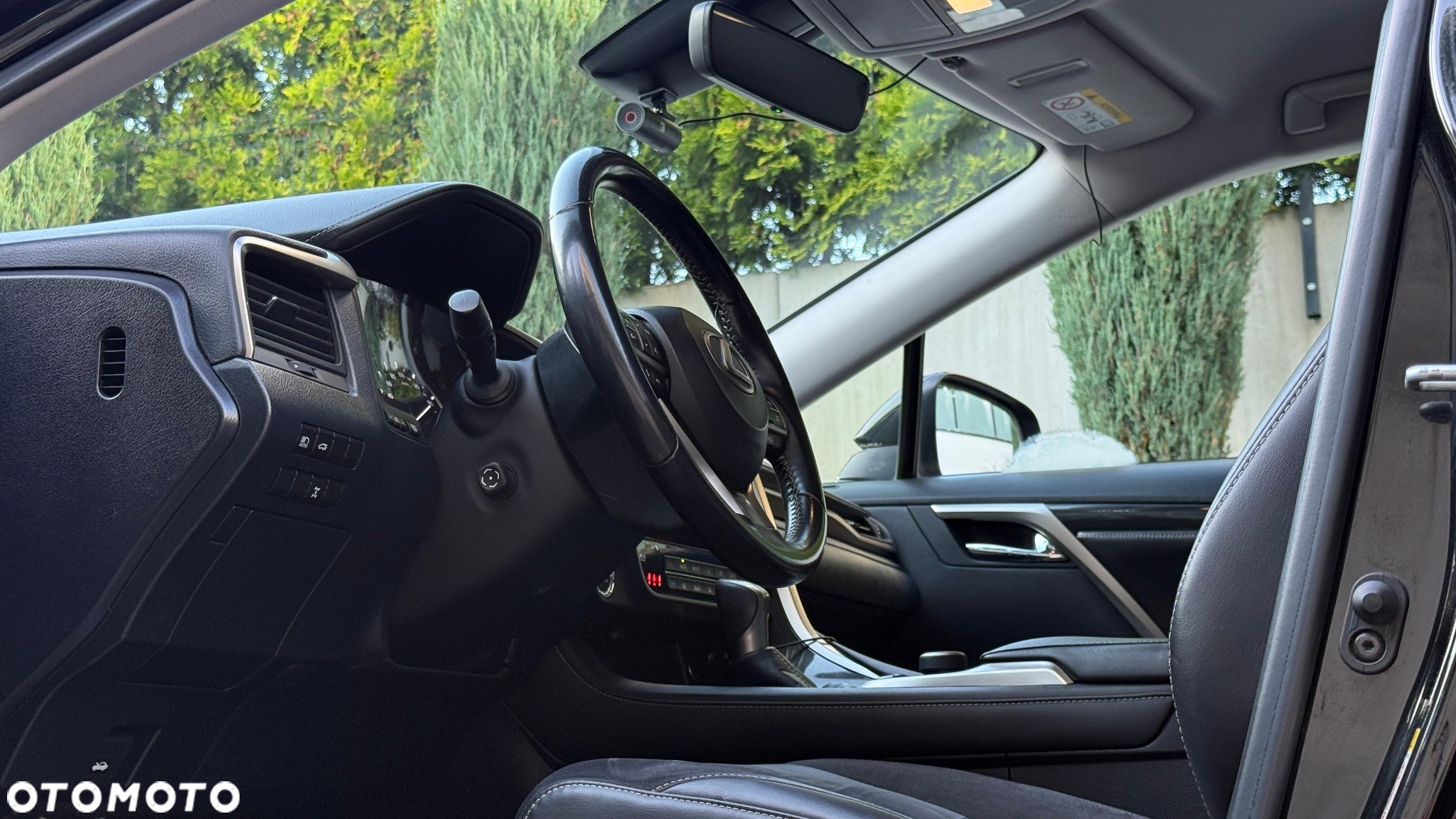 Lexus RX 200t / 300 Elegance - 18