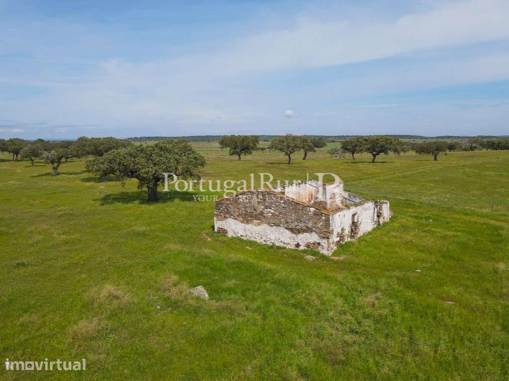 Herdade com 53ha perto do Alandroal - Grande imagem: 5/37