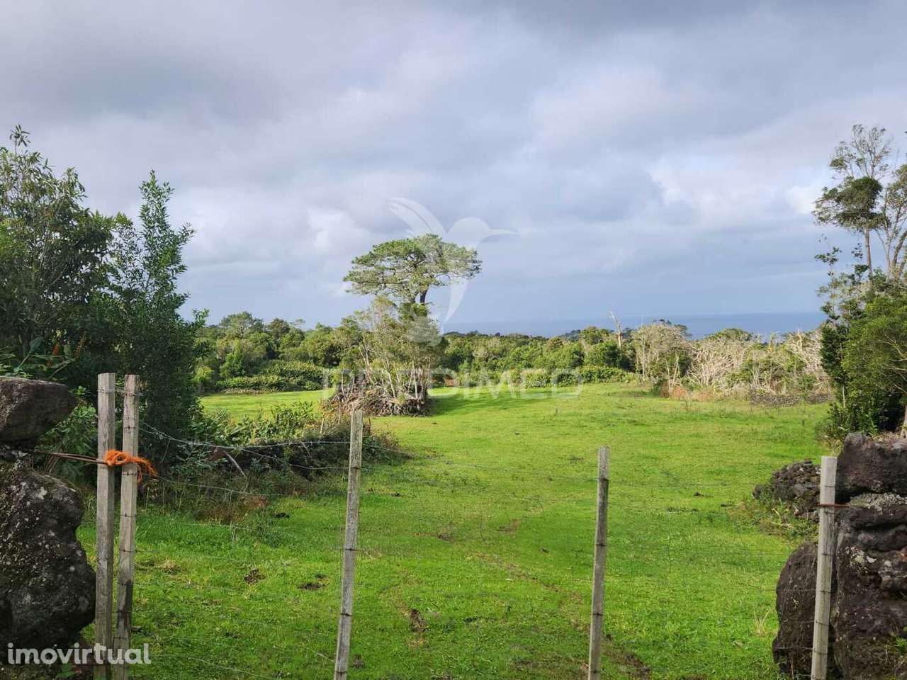 Terreno com pastagem nas Bandeiras - Grande imagem: 2/4