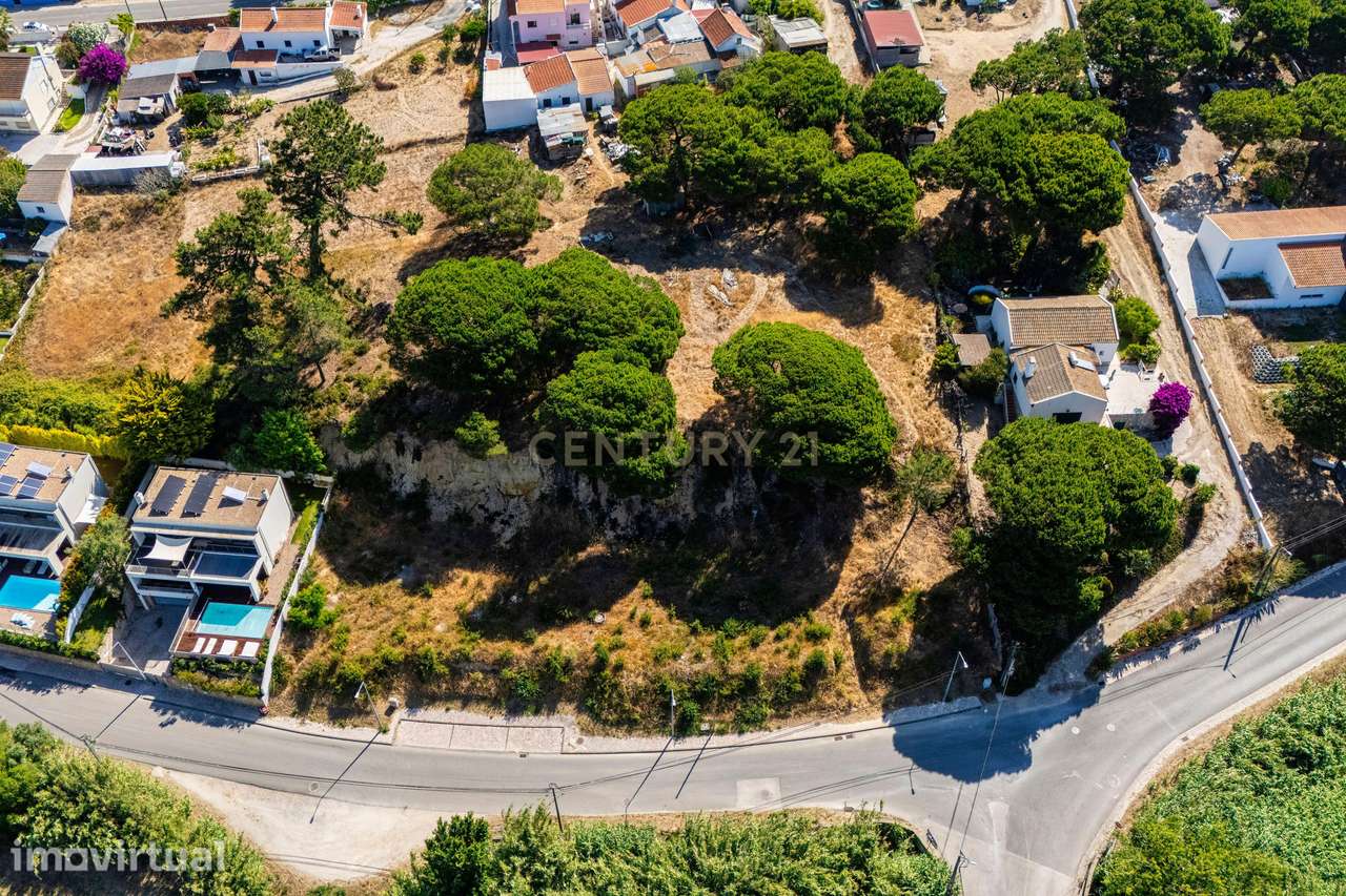 Terreno com Projeto Aprovado para Moradia Contemporânea com Piscina | - Grande imagem: 4/10