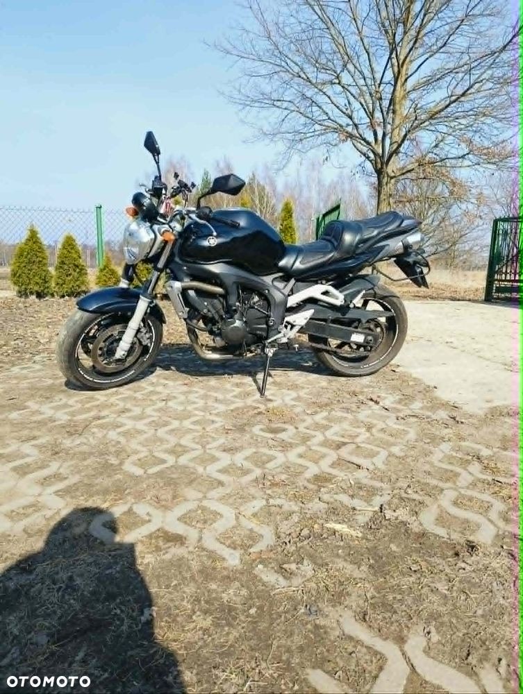 Yamaha FZ6 - 3