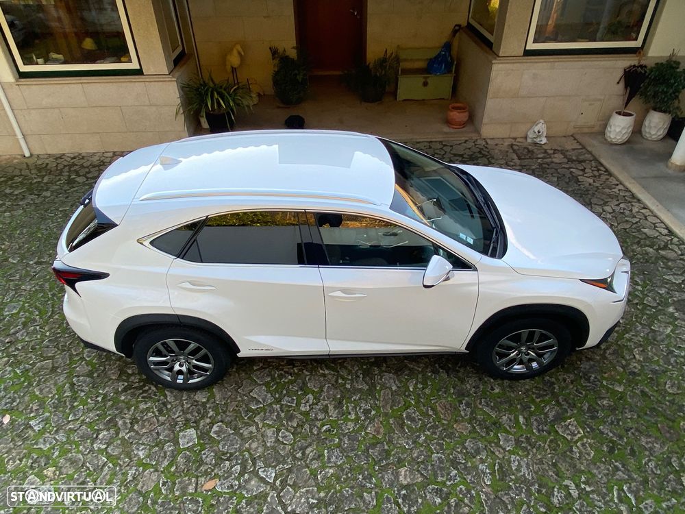 Lexus NX 300h Luxury 4WD - 10