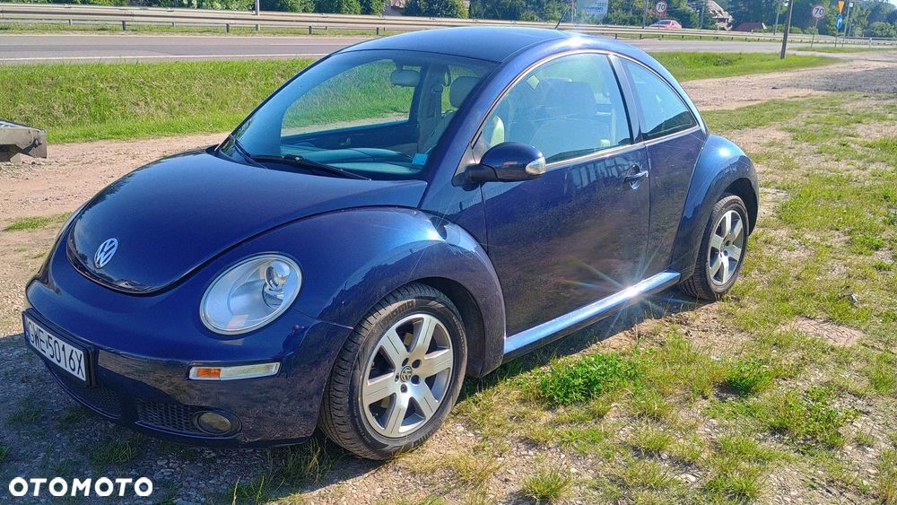 Volkswagen New Beetle - 19