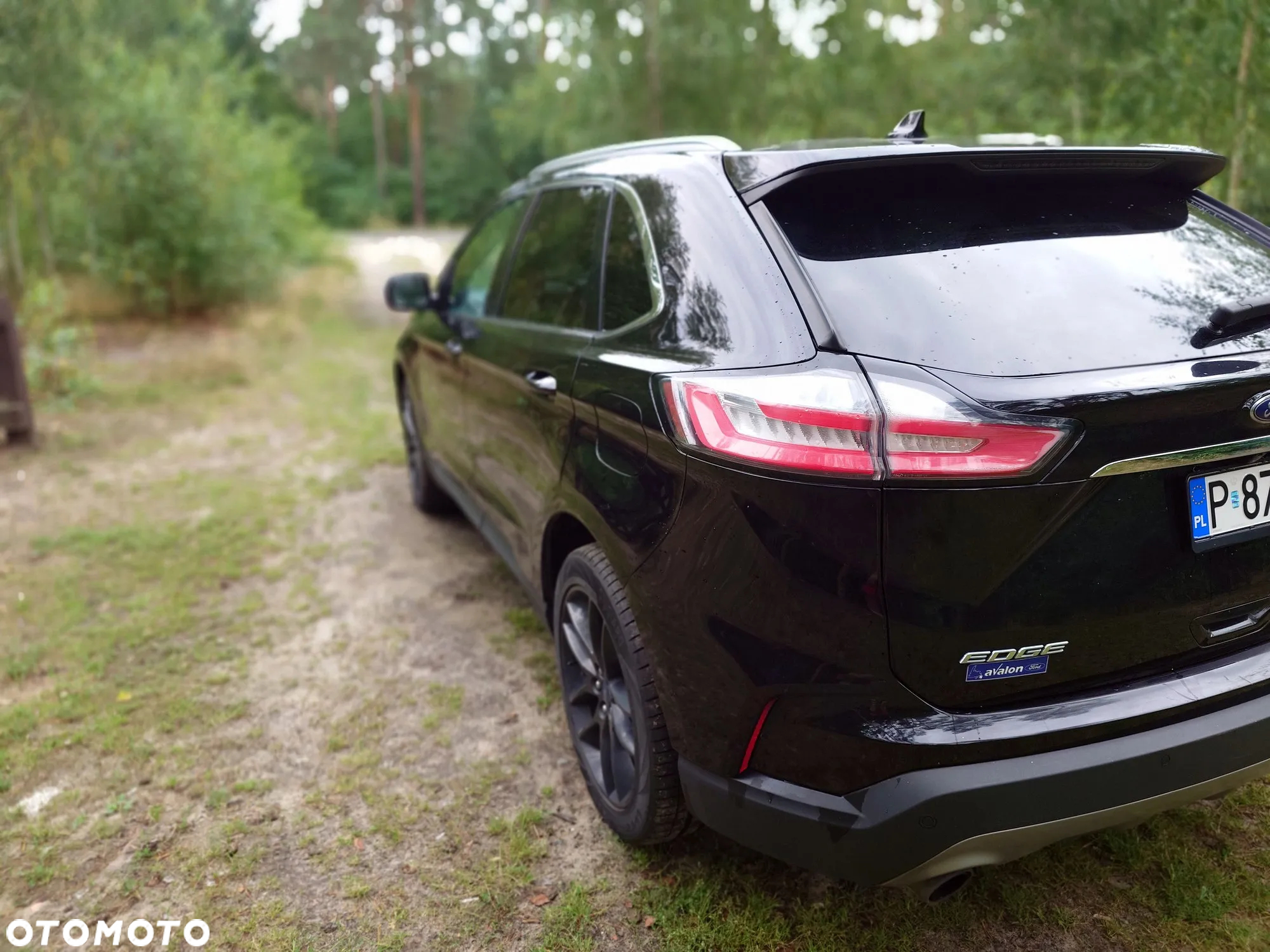 Ford Edge - 10