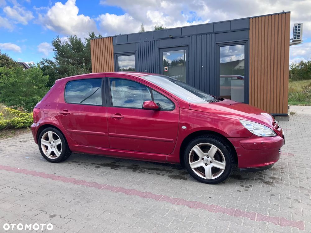 Peugeot 307 - 18