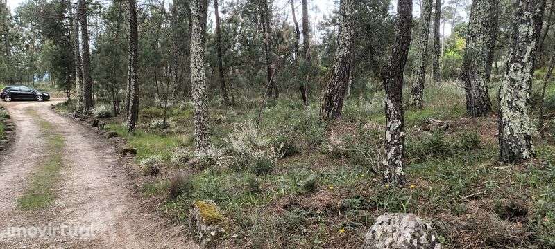Terreno para venda - Grande imagem: 5/7