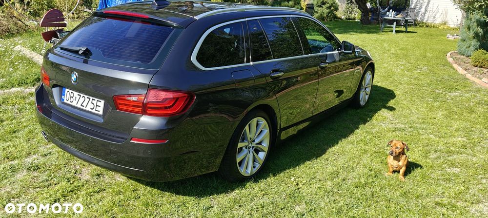 BMW Seria 5 - 18