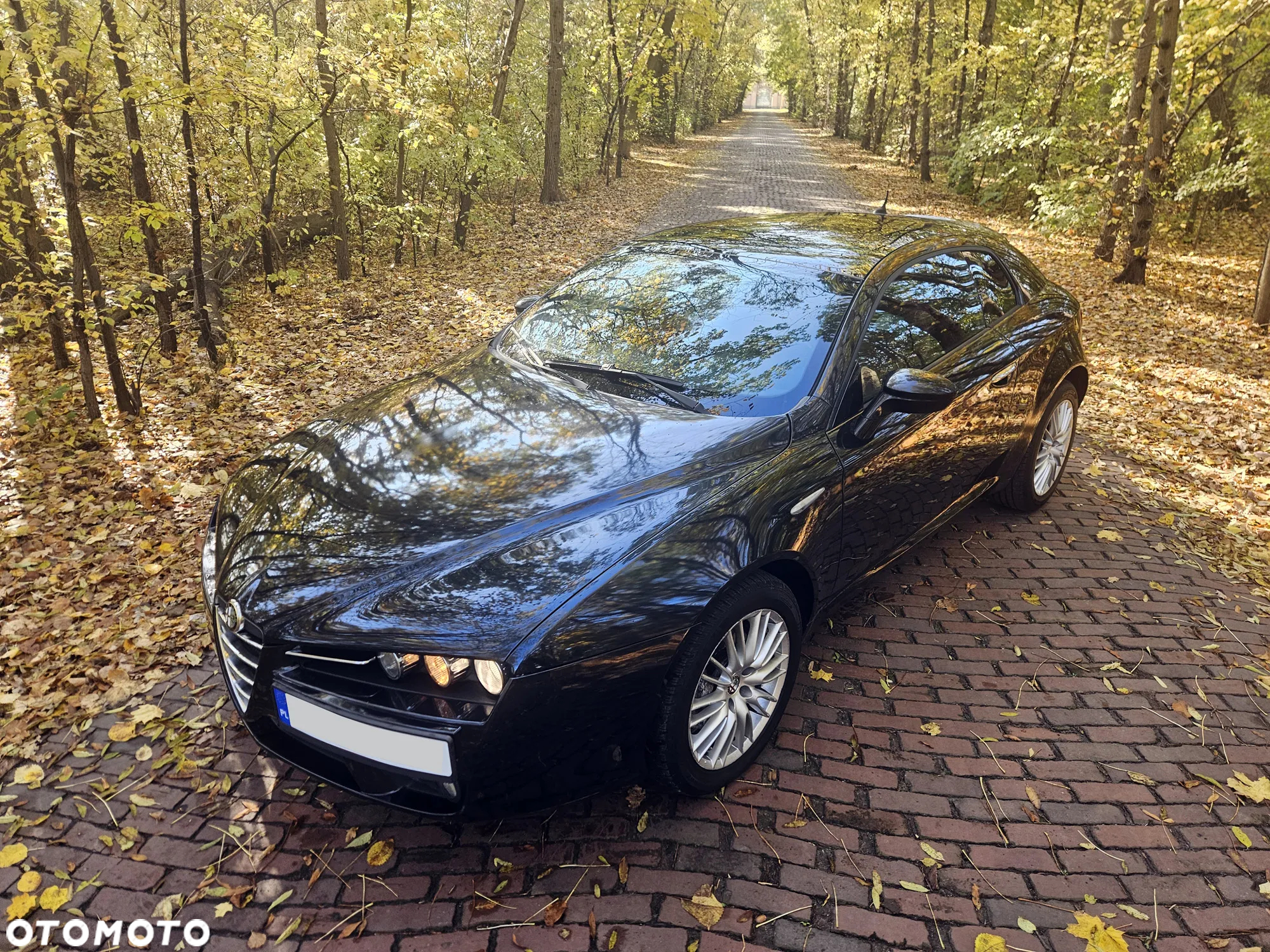 Alfa Romeo Brera 2.0JTDM - 3