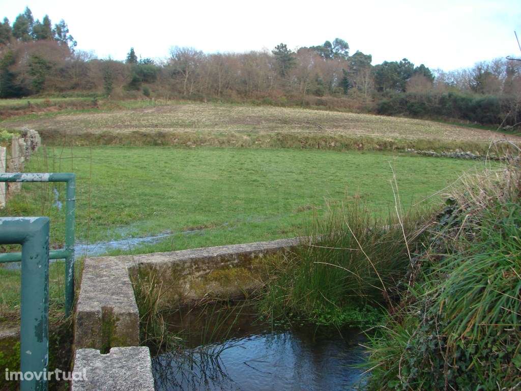 Terreno Agrícola - Grande imagem: 3/4