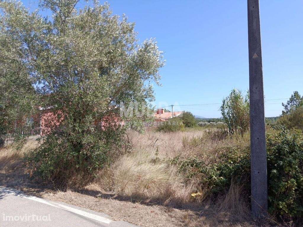 Oportunidade de Investimento – Terreno Urbano em São Lourenço (Bairro - Grande imagem: 2/3