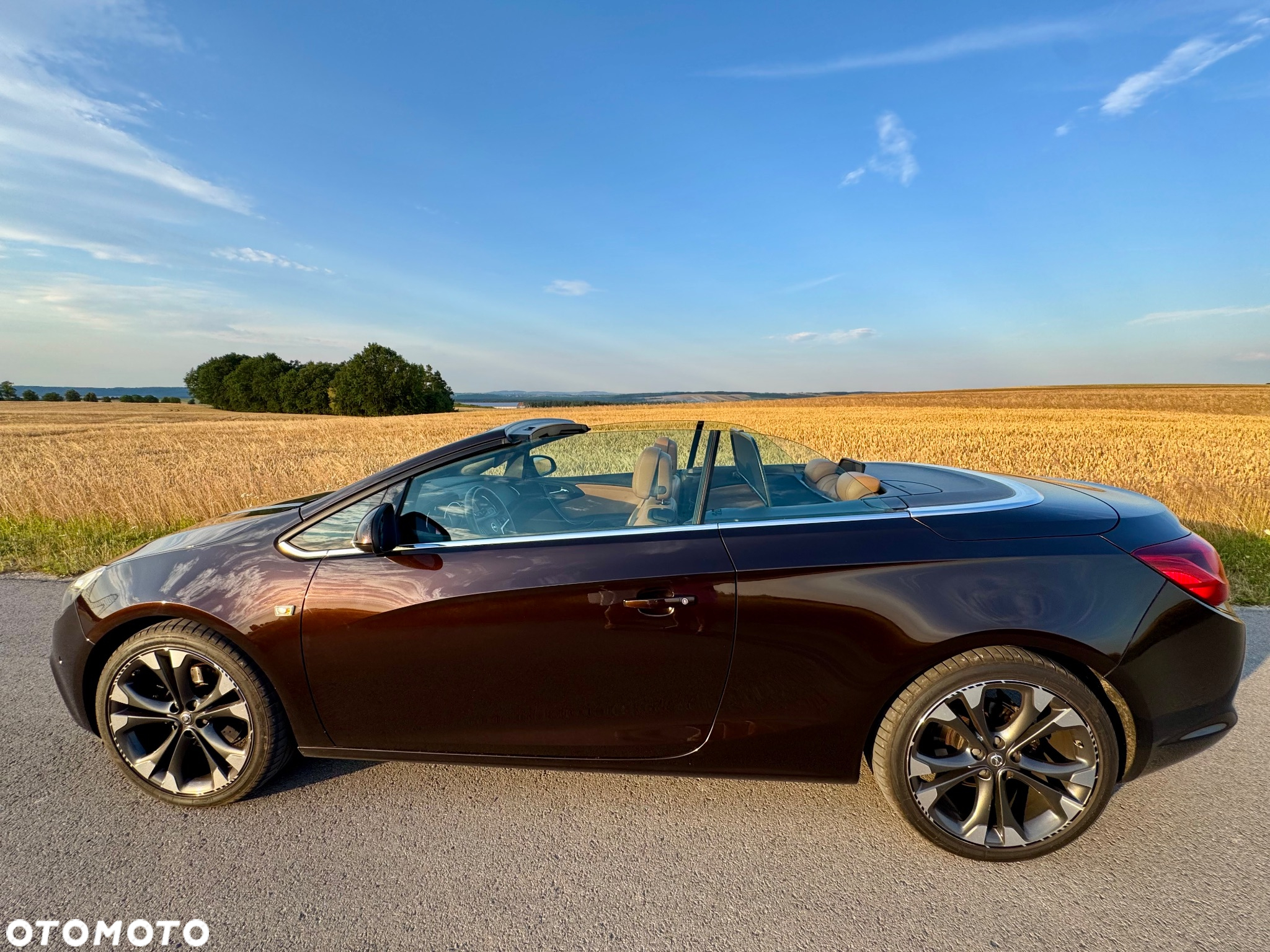 Opel Cascada 2.0 CDTI Cosmo S&S - 9