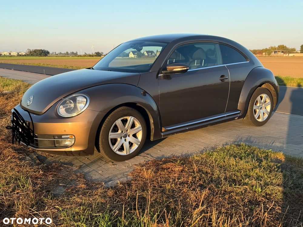 Volkswagen Beetle - 4