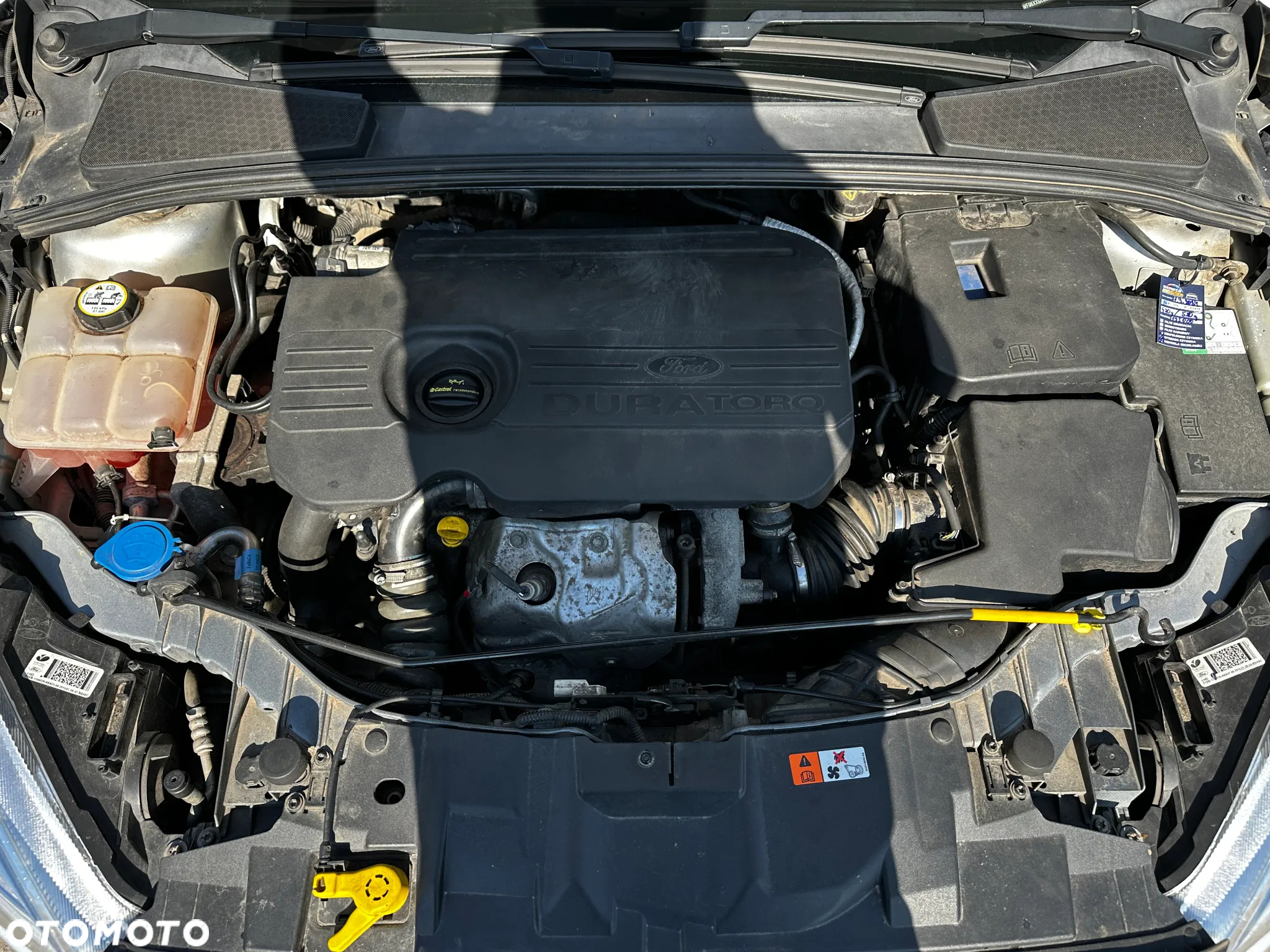 Ford Focus - 26