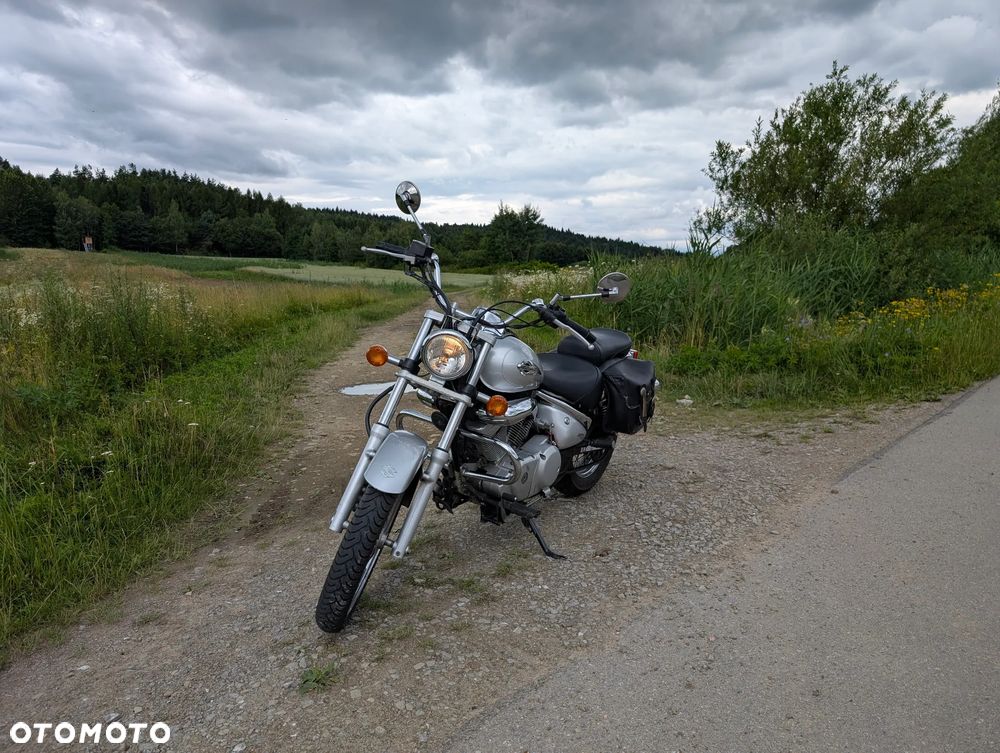 Suzuki Intruder - 8