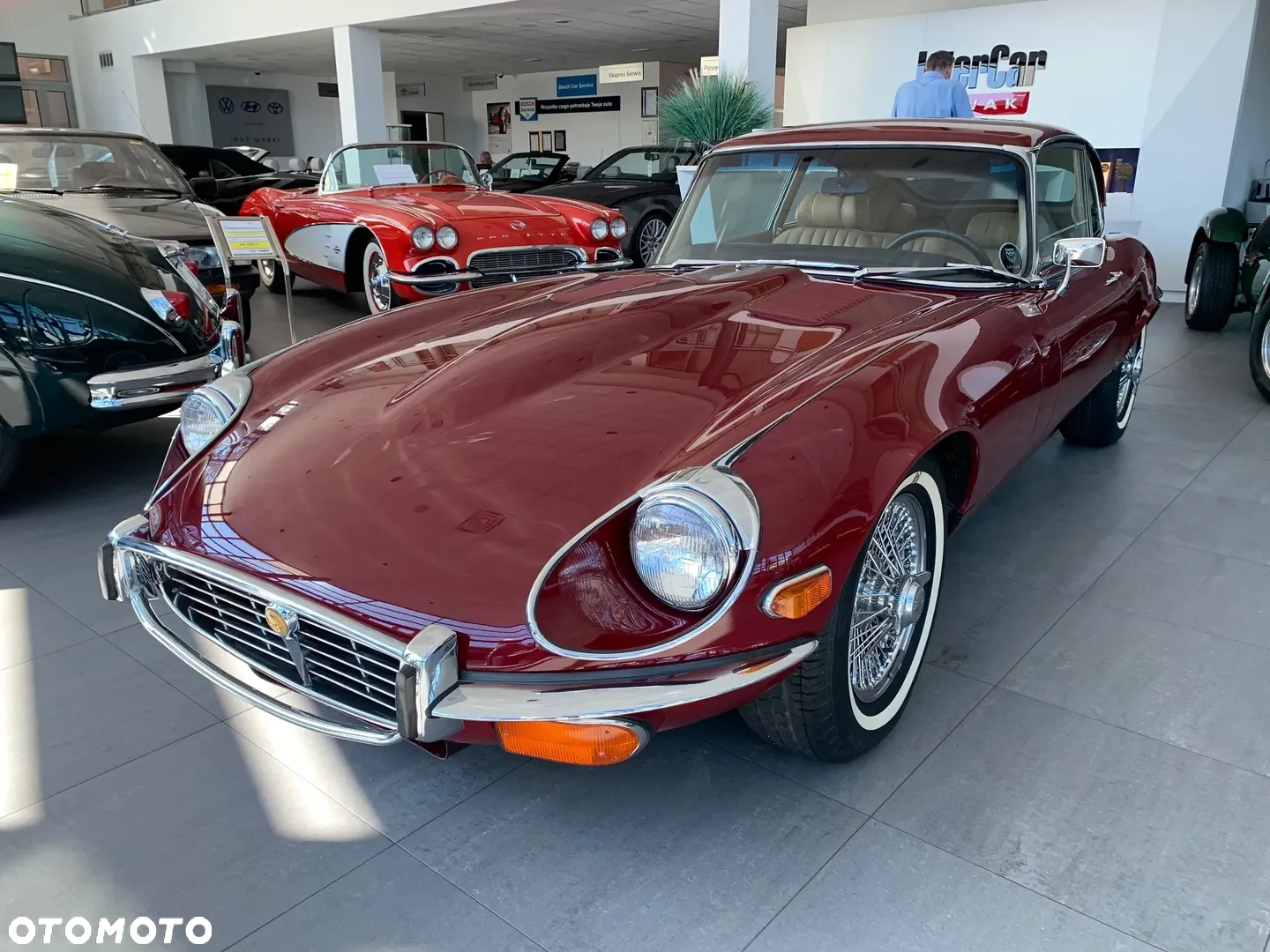 Jaguar E-Type - 18