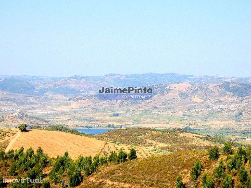 TERRENO AGRÍCOLA 104.000m2 para plantações novas. Portugal, ALFÂNDE... - Grande imagem: 4/9