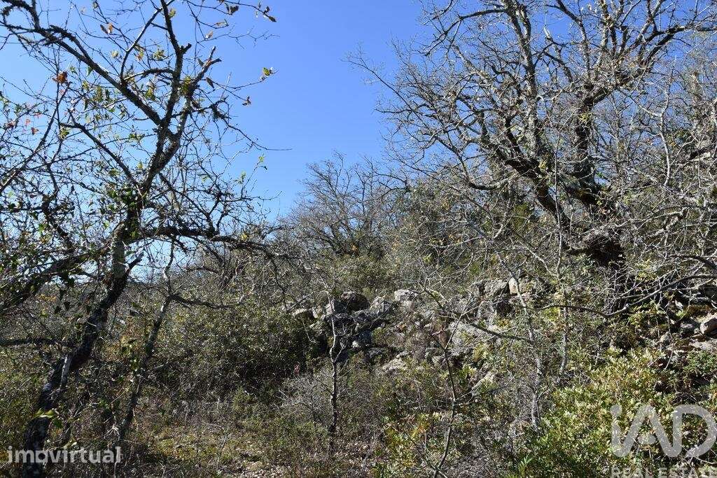 Terreno em Chãos de 800,00 m2 - Grande imagem: 5/23