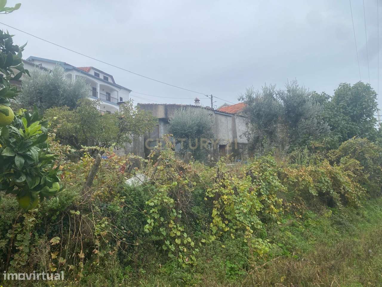 Terreno em Cortes do Meio - Covilhã - Grande imagem: 5/9