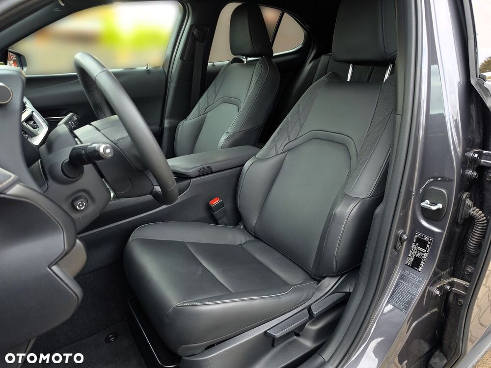 Lexus UX 300h F Sport - 14