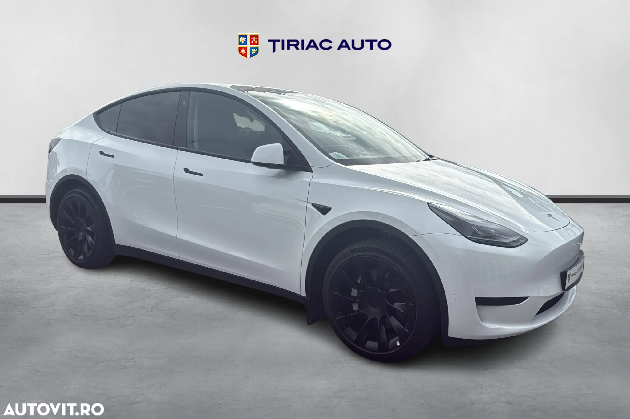 Tesla Model Y RWD - 7