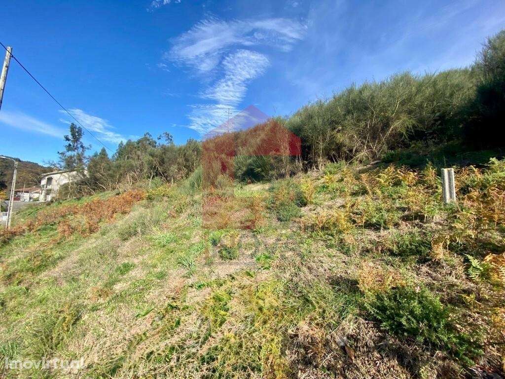 Terreno localizado em zona agrícola, Duas Igrejas - Grande imagem: 5/30