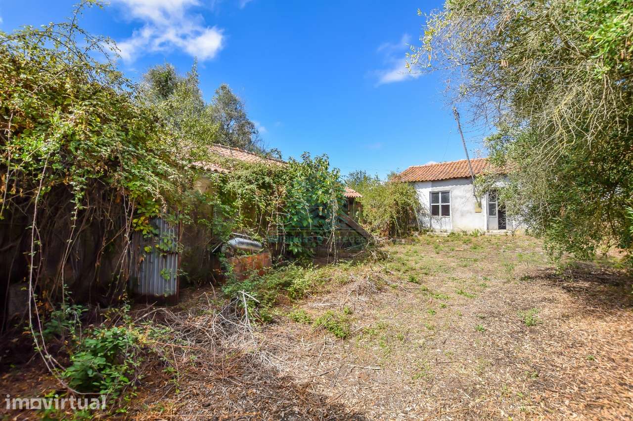 Quinta para remodelar - Torres Novas - Grande imagem: 3/28
