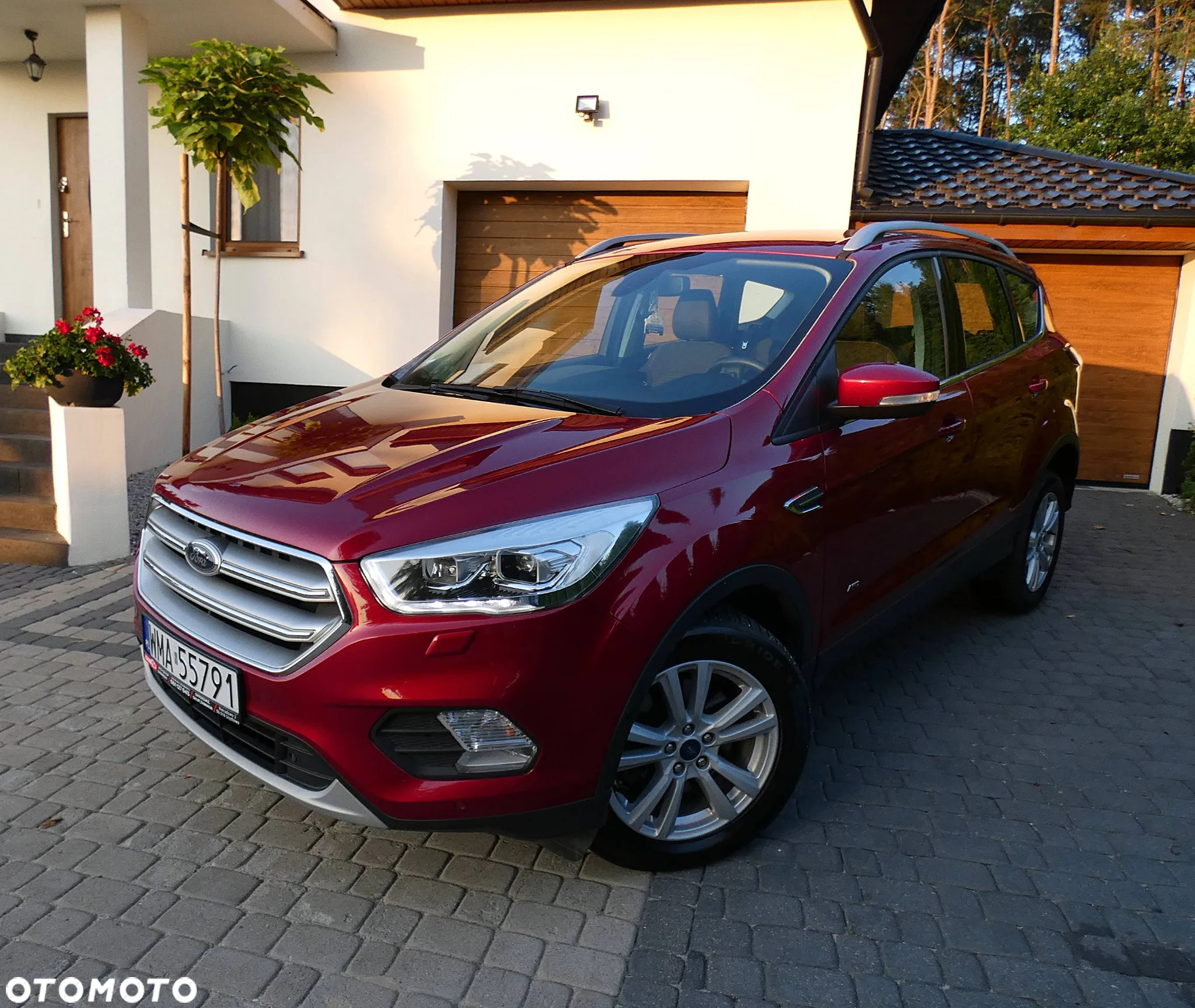 Ford Kuga 1.5 EcoBoost AWD Titanium ASS - 19