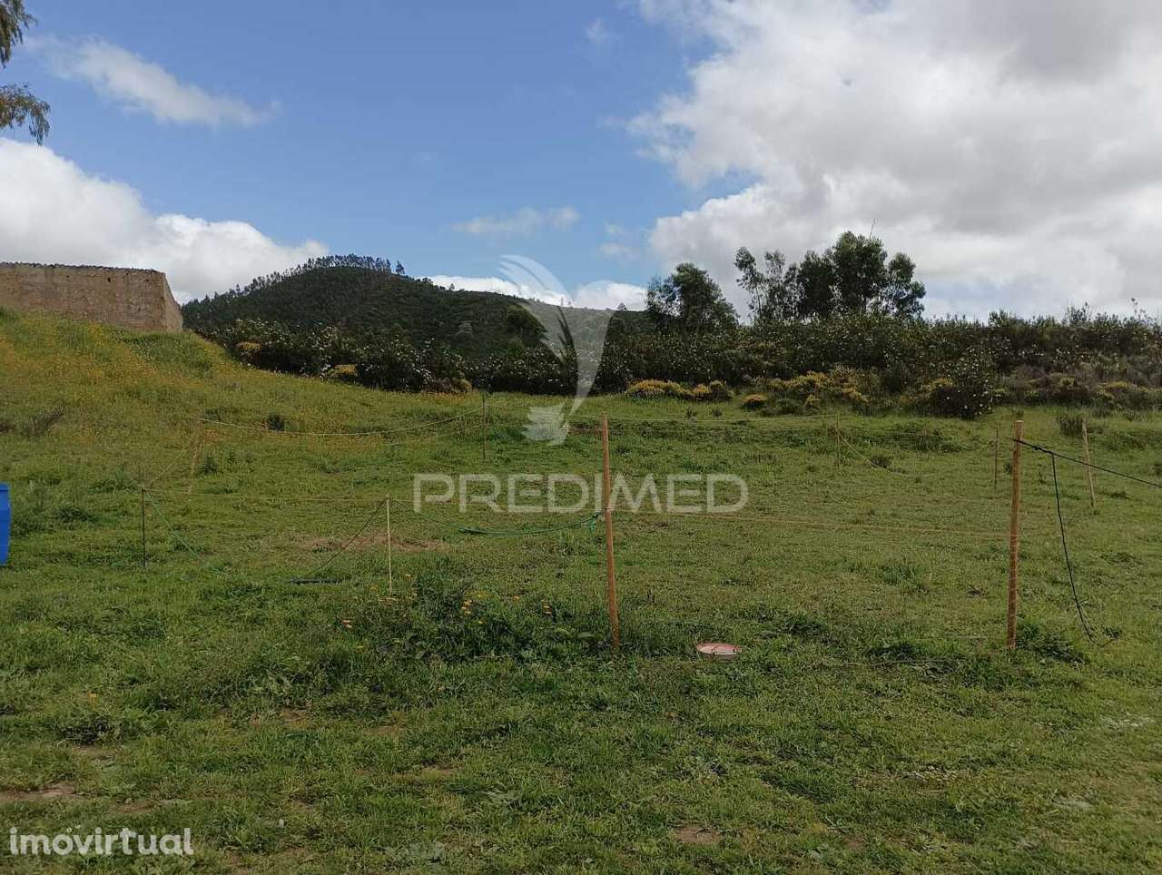 Ruina geminada no Tojeiro - Grande imagem: 3/3