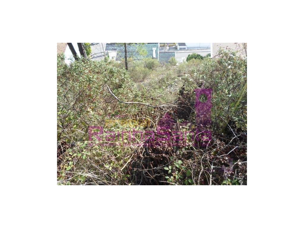 Lotes p/ construção de moradias - Eiras - Coimbra - Grande imagem: 5/10