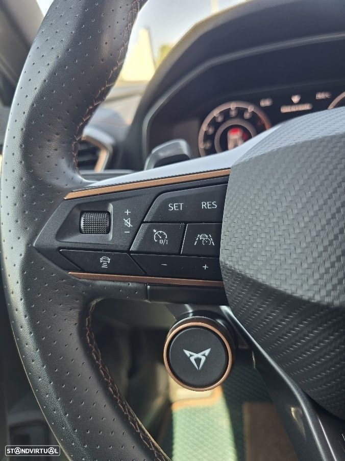 Cupra Formentor 2.0 TSI DSG 4Drive VZ - 17