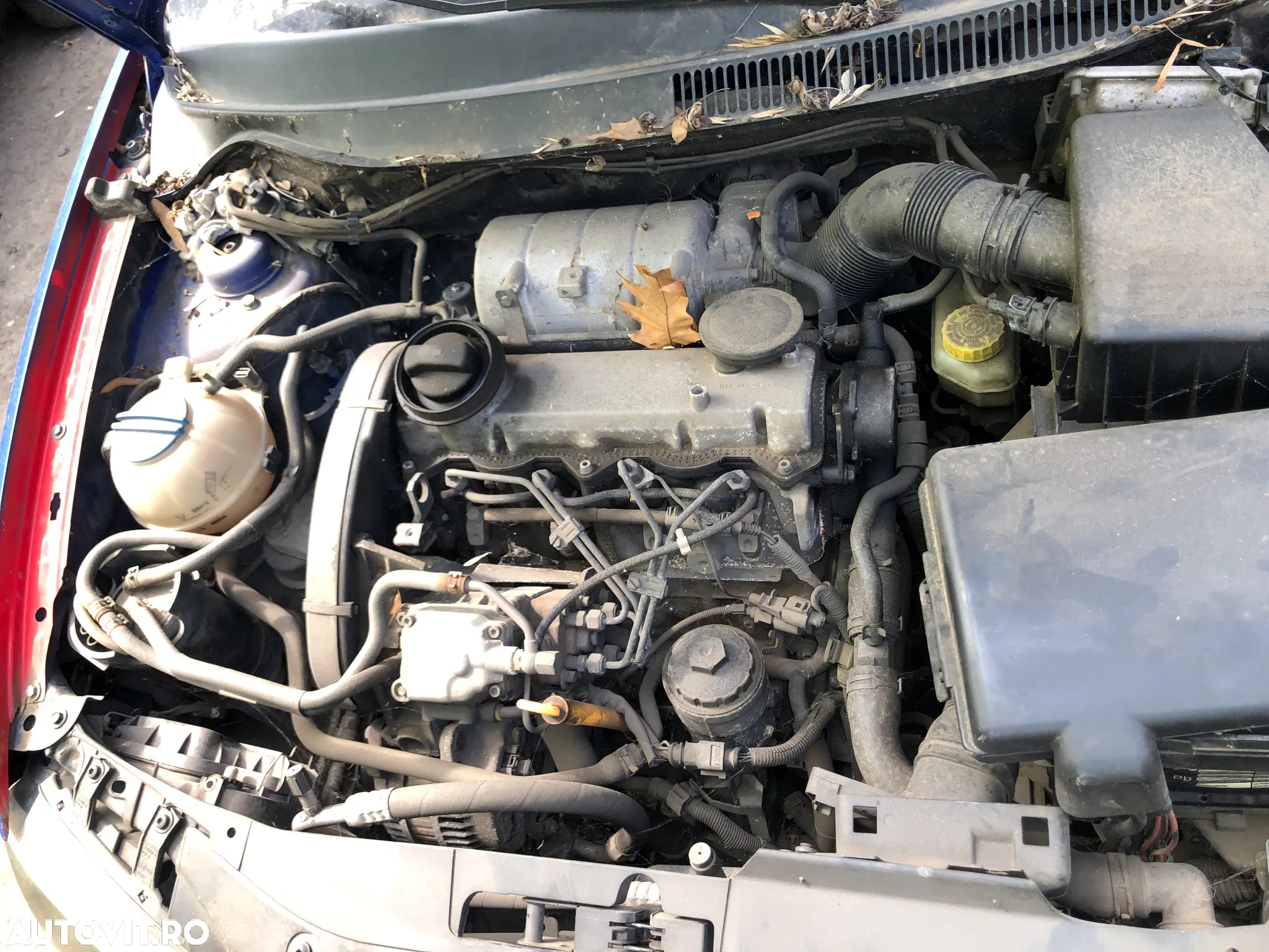Dezmembrez Seat Ibiza 2005 albastru 1.9 SDI - 3