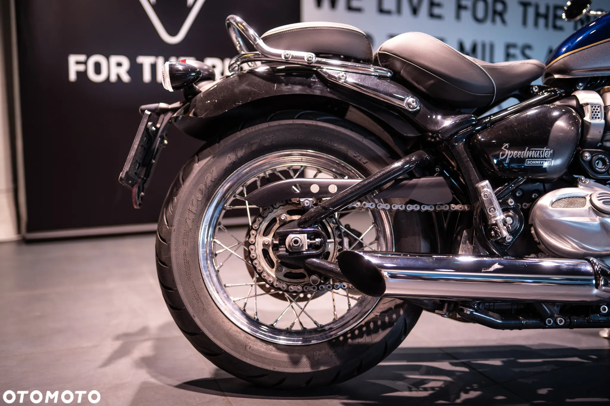 Triumph Speedmaster - 23