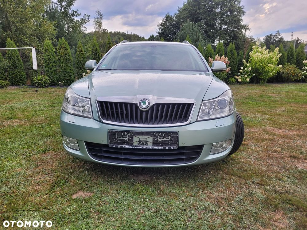 Skoda Octavia - 6