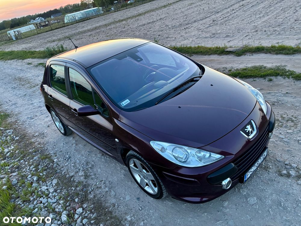 Peugeot 307 2.0 XT - 17